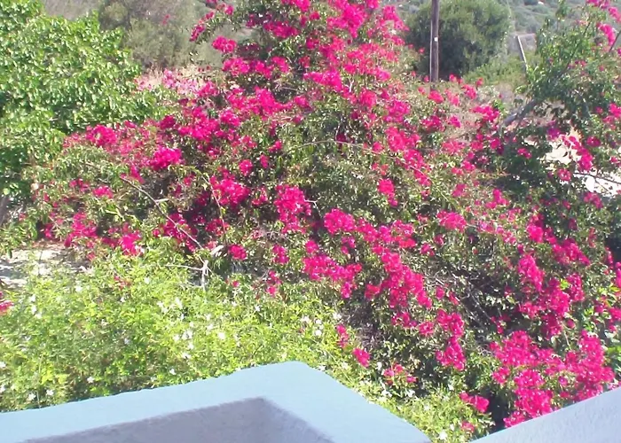 Apartment Creta Vassakis 2 *