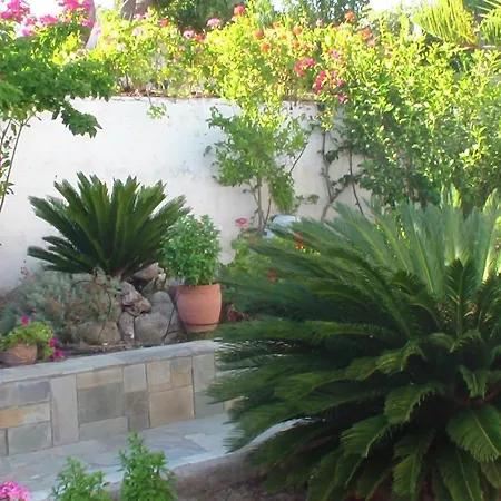 Creta Vassakis 2 Apartman