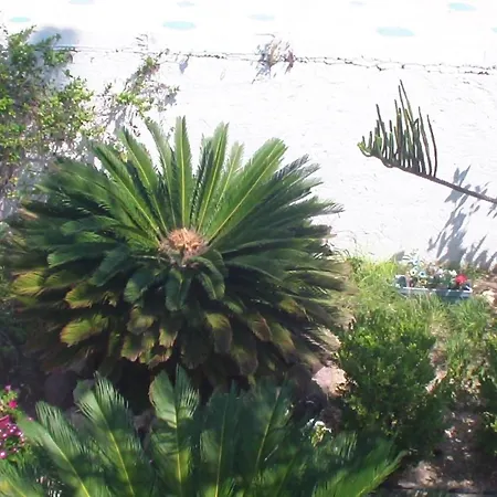 Creta Vassakis 2 Apartman