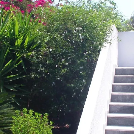 Creta Vassakis 2