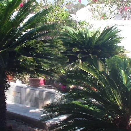 Creta Vassakis 2 Kefalos (Kos)