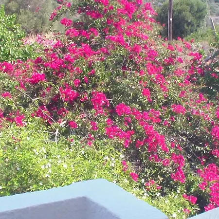 Apartment Creta Vassakis 2 *