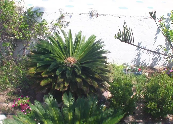 Creta Vassakis 2 公寓