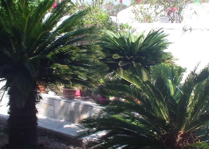 Creta Vassakis 2 克法洛斯